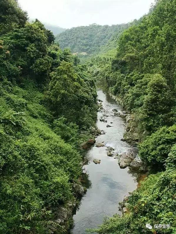 镇魔曲页游